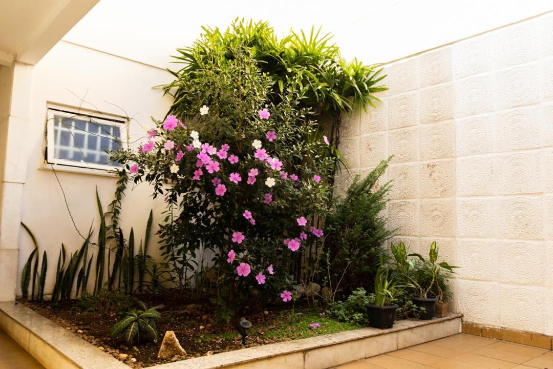 Homestay Individual Em Sao Paulo